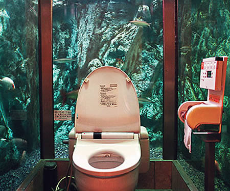 The top 7 craziest bathrooms [PICS]