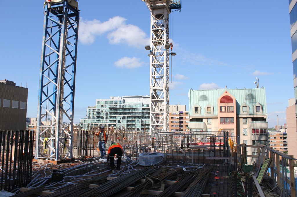 crane