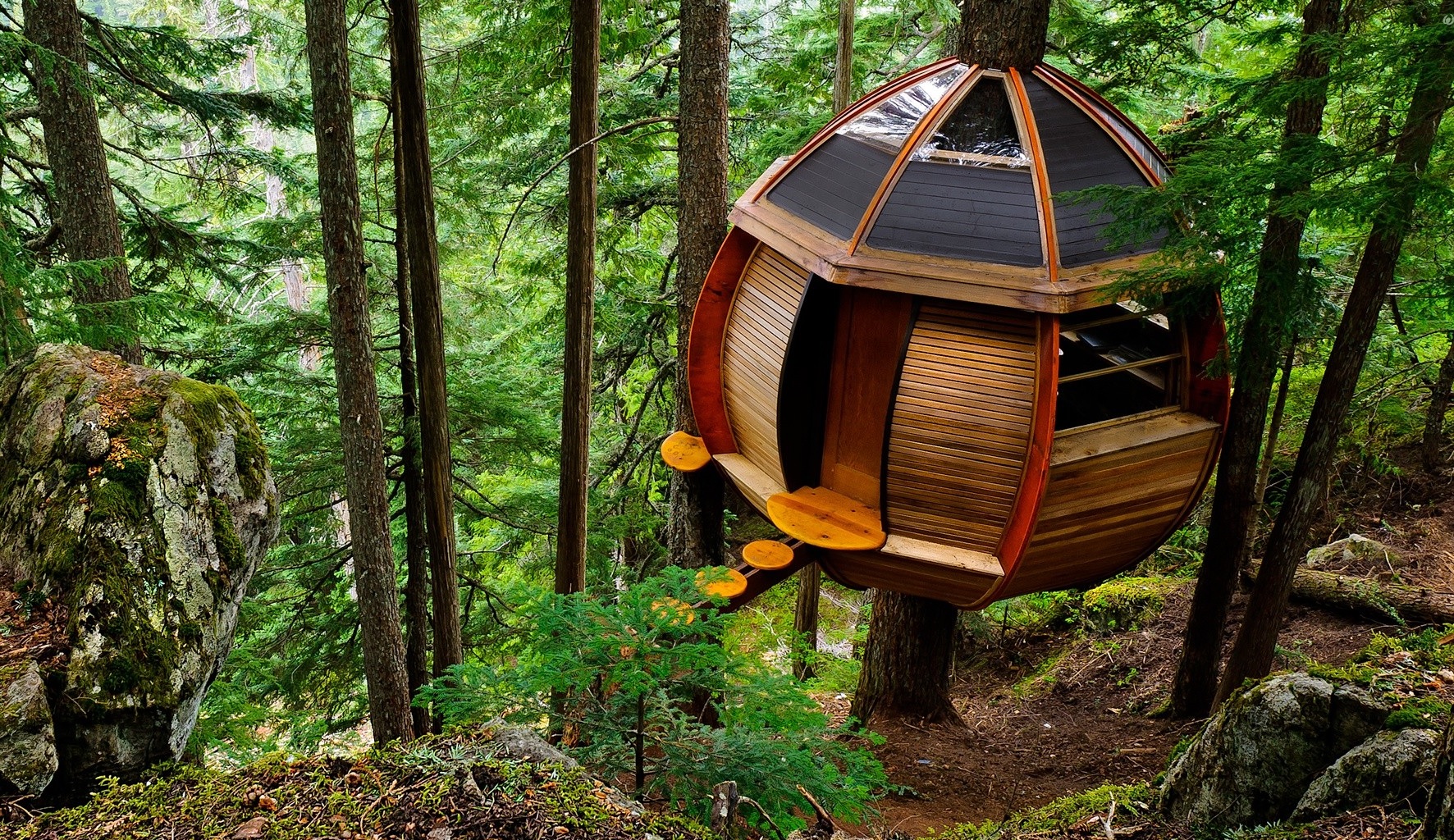 17 gorgeous tree houses that are nicer than your real house