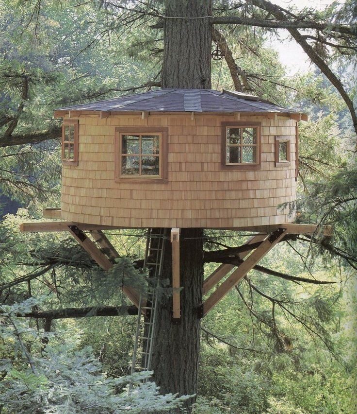 17 gorgeous tree houses that are nicer than your real house