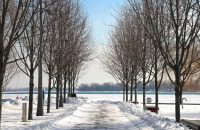 Canada's banks report on housing market-compressed
