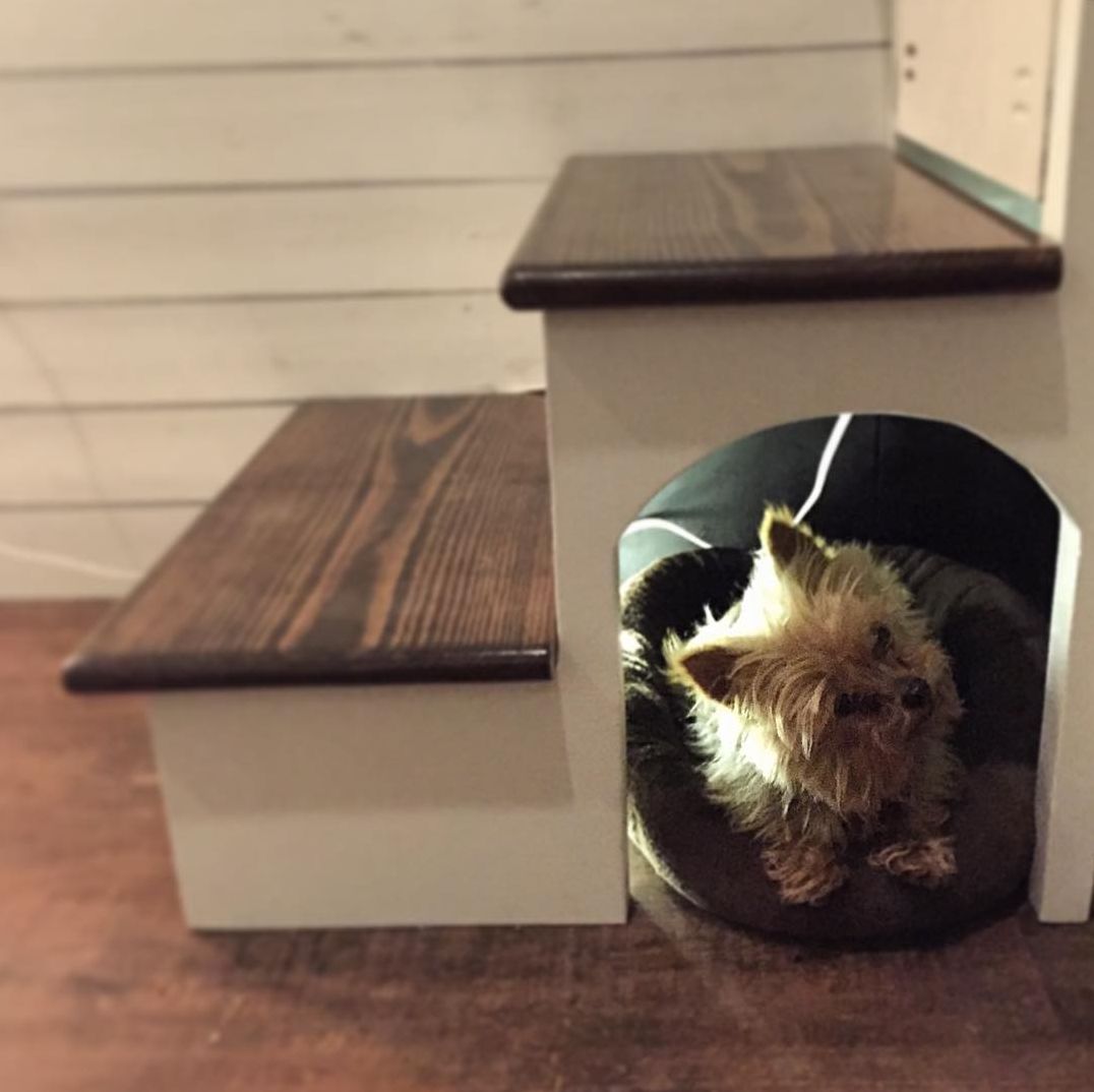 Indoor Dog House
